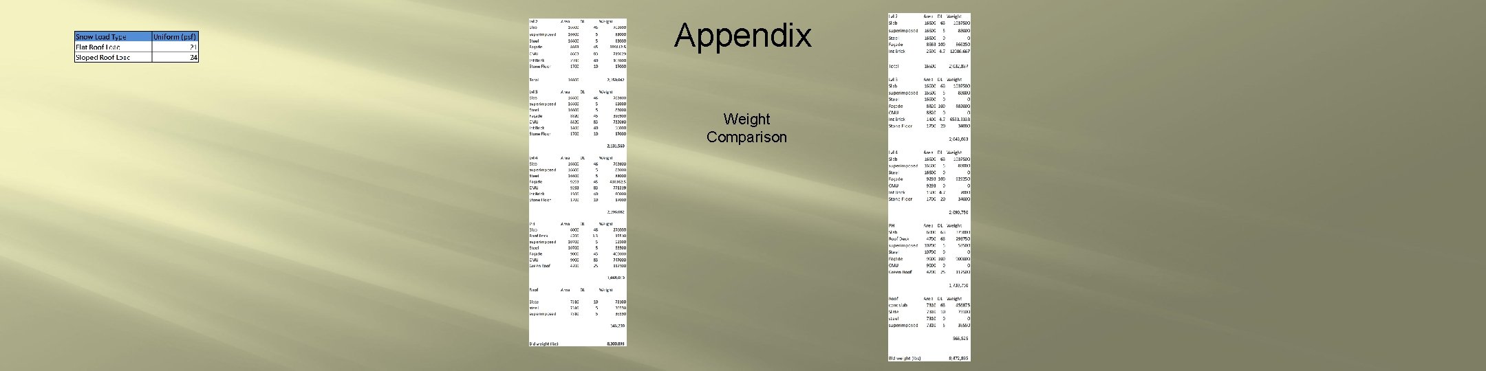 Appendix Weight Comparison 