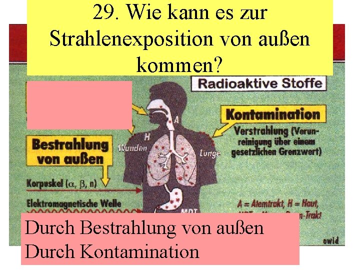 29. Wie kann es zur Strahlenexposition von außen kommen? • AAAA Durch Bestrahlung von