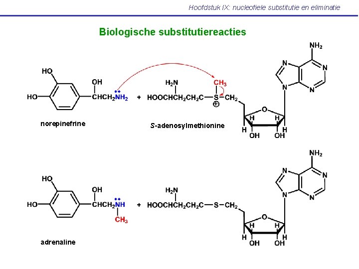 Hoofdstuk IX: nucleofiele substitutie en eliminatie Biologische substitutiereacties norepinefrine adrenaline S-adenosylmethionine 