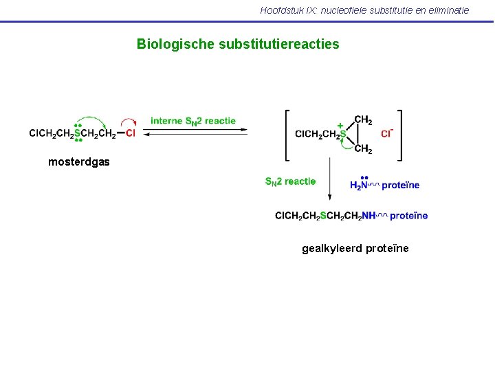 Hoofdstuk IX: nucleofiele substitutie en eliminatie Biologische substitutiereacties mosterdgas gealkyleerd proteïne 