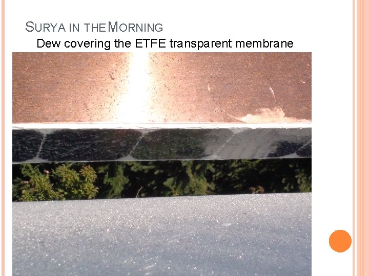 SURYA IN THE MORNING Dew covering the ETFE transparent membrane 