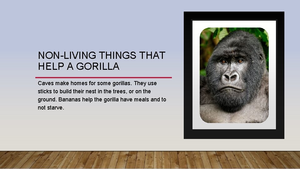 NON-LIVING THINGS THAT HELP A GORILLA Caves make homes for some gorillas. They use