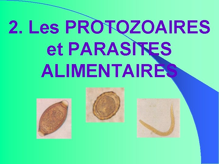 2. Les PROTOZOAIRES et PARASITES ALIMENTAIRES 