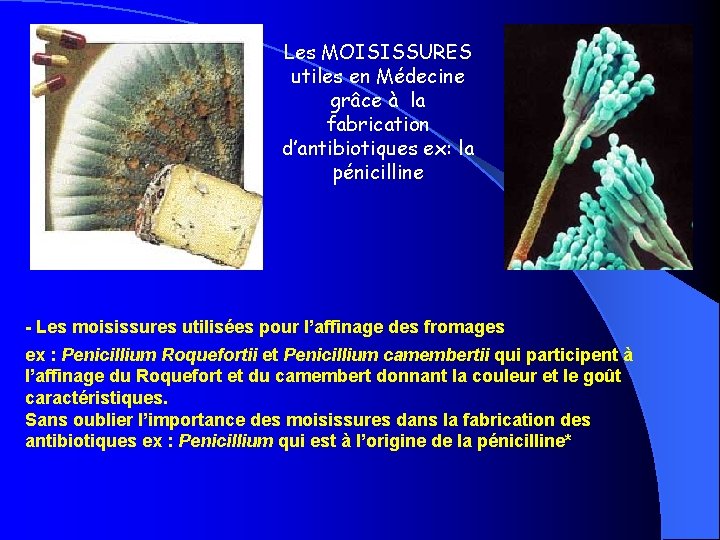 Les MOISISSURES utiles en Médecine grâce à la fabrication d’antibiotiques ex: la pénicilline -