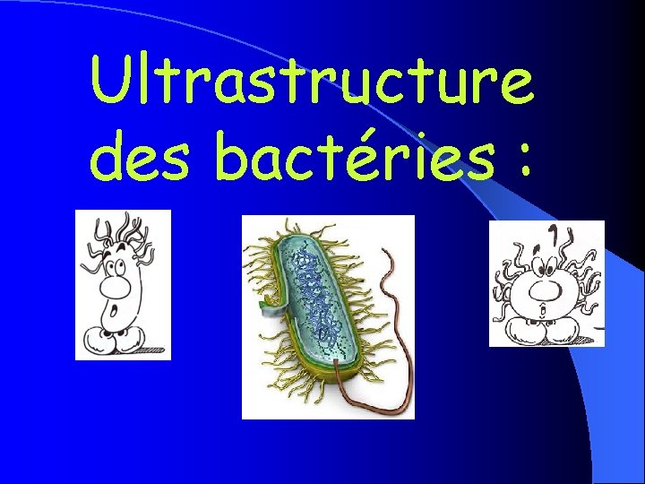 Ultrastructure des bactéries : 