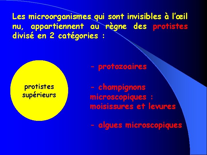 Les microorganismes qui sont invisibles à l’œil nu, appartiennent au règne des protistes divisé