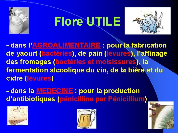 Flore UTILE - dans l’AGROALIMENTAIRE : pour la fabrication de yaourt (bactéries), de pain