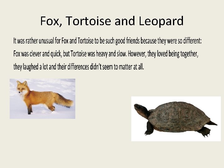 Fox, Tortoise and Leopard 