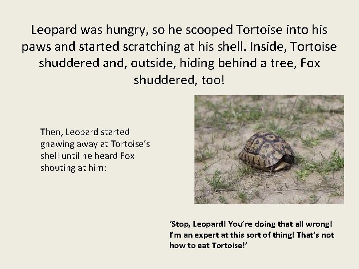 Leopard was hungry, so he scooped Tortoise into his paws and started scratching at