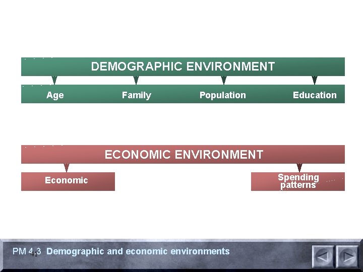 DEMOGRAPHIC ENVIRONMENT Age Family Population Education ECONOMIC ENVIRONMENT Economic PM 4. 3 41 Demographic