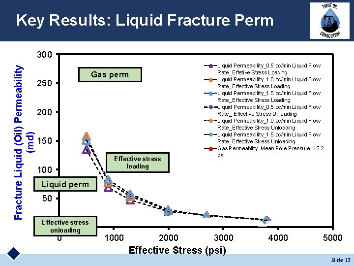 Key Results: Liquid Fracture Perm Fracture Liquid (Oil) Permeability (md) 300 Gas perm 250