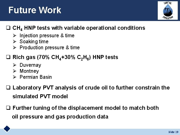 Future Work q CH 4 HNP tests with variable operational conditions Ø Injection pressure