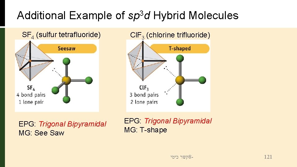 Additional Example of sp 3 d Hybrid Molecules SF 4 (sulfur tetrafluoride) EPG: Trigonal
