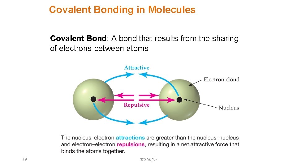 Covalent Bonding in Molecules Covalent Bond: A bond that results from the sharing of