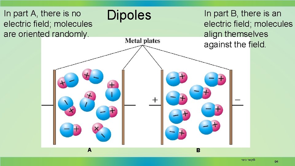 In part A, there is no electric field; molecules are oriented randomly. A Dipoles