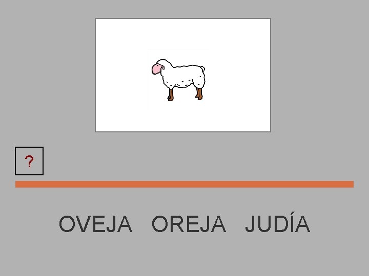 ? OVEJA OREJA JUDÍA 
