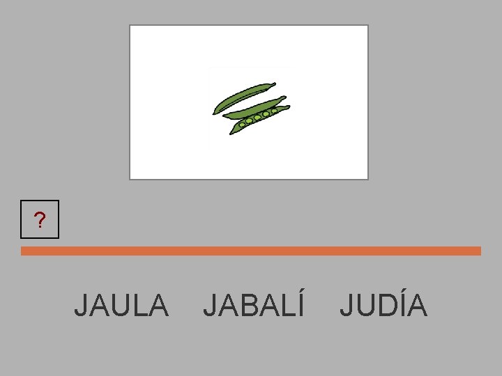 JUDÍA ? JAULA JABALÍ JUDÍA 