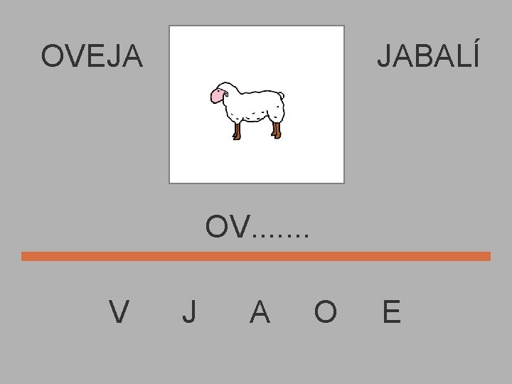 OVEJA JABALÍ OV. . . . V J A O E 