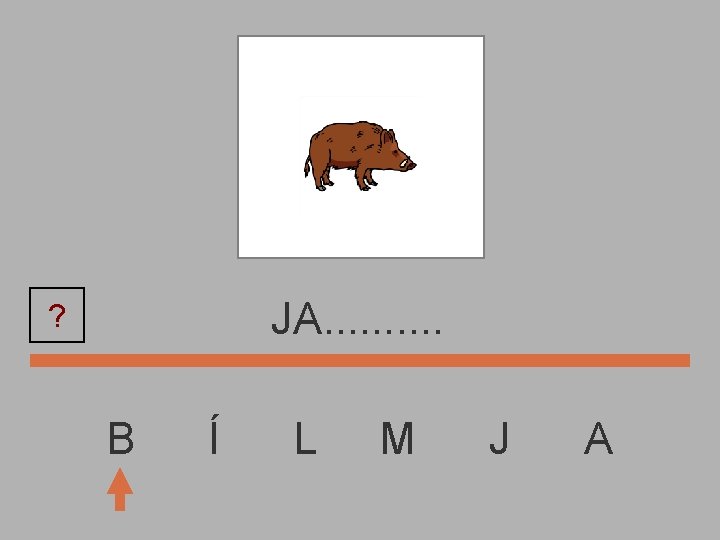 JA. . ? B Í L M J A 