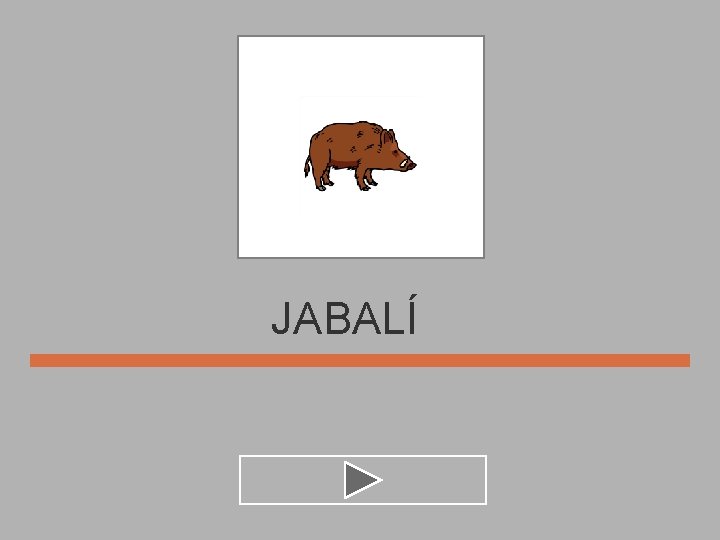 JABALÍ 