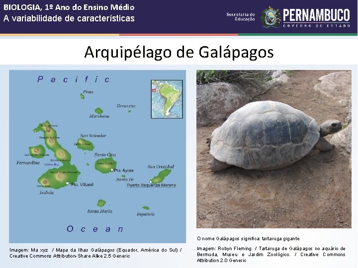 BIOLOGIA, 1º Ano do Ensino Médio A variabilidade de características Arquipélago de Galápagos O