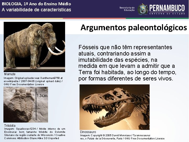 BIOLOGIA, 1º Ano do Ensino Médio A variabilidade de características Argumentos paleontológicos Mamute Imagem: