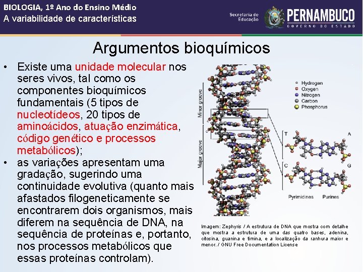 BIOLOGIA, 1º Ano do Ensino Médio A variabilidade de características Argumentos bioquímicos • Existe