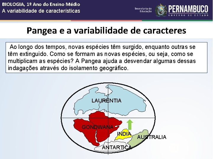 BIOLOGIA, 1º Ano do Ensino Médio A variabilidade de características Pangea e a variabilidade