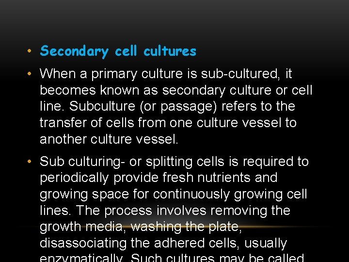  • Secondary cell cultures • When a primary culture is sub-cultured, it becomes
