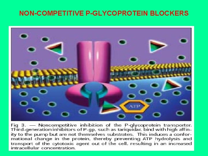 NON-COMPETITIVE P-GLYCOPROTEIN BLOCKERS 