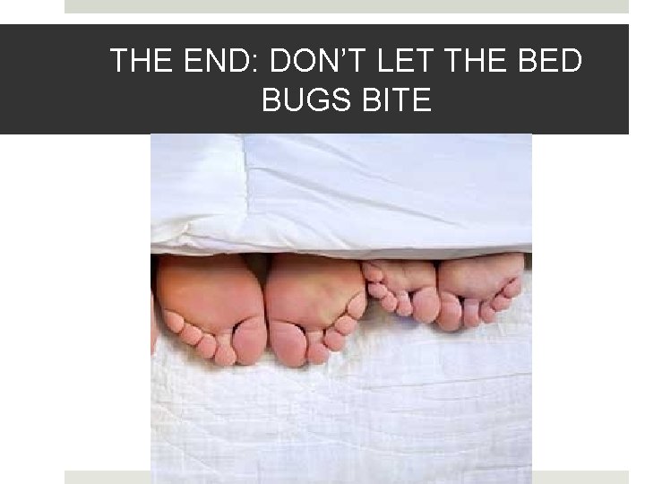 THE END: DON’T LET THE BED BUGS BITE 