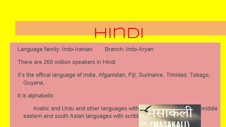 Hindi Language family: Indo-Iranian Branch: Indo-Aryan There are 260 million speakers in Hindi It’s