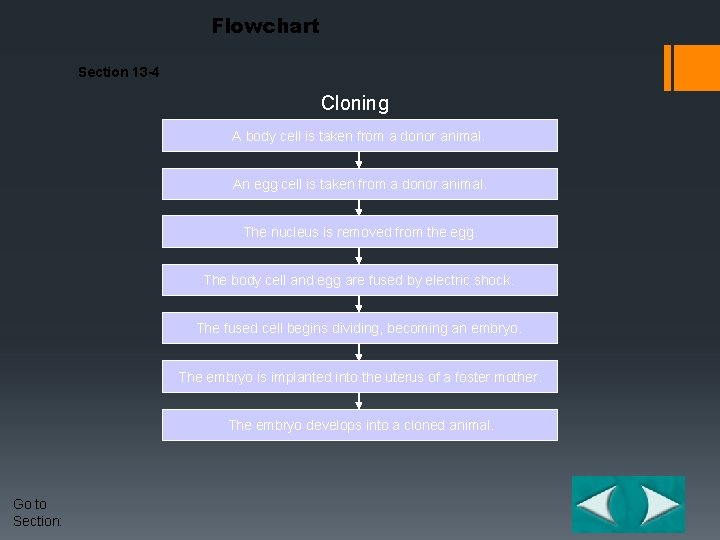 Flowchart Section 13 -4 Cloning A body cell is taken from a donor animal.