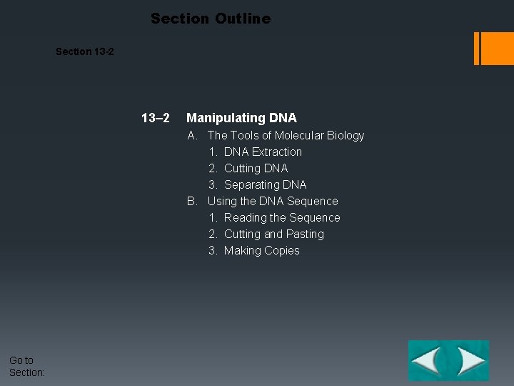 Section Outline Section 13 -2 13– 2 Manipulating DNA A. The Tools of Molecular