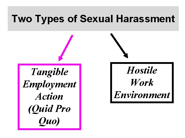 Two Types of Sexual Harassment Tangible Employment Action (Quid Pro Quo) Hostile Work Environment