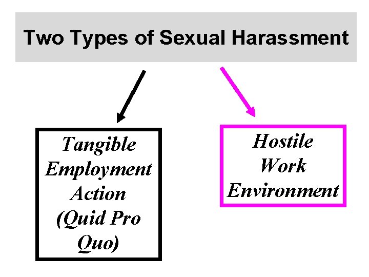 Two Types of Sexual Harassment Tangible Employment Action (Quid Pro Quo) Hostile Work Environment