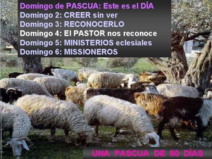 Domingo de PASCUA: Este es el DÍA Domingo 2: CREER sin ver Domingo 3: