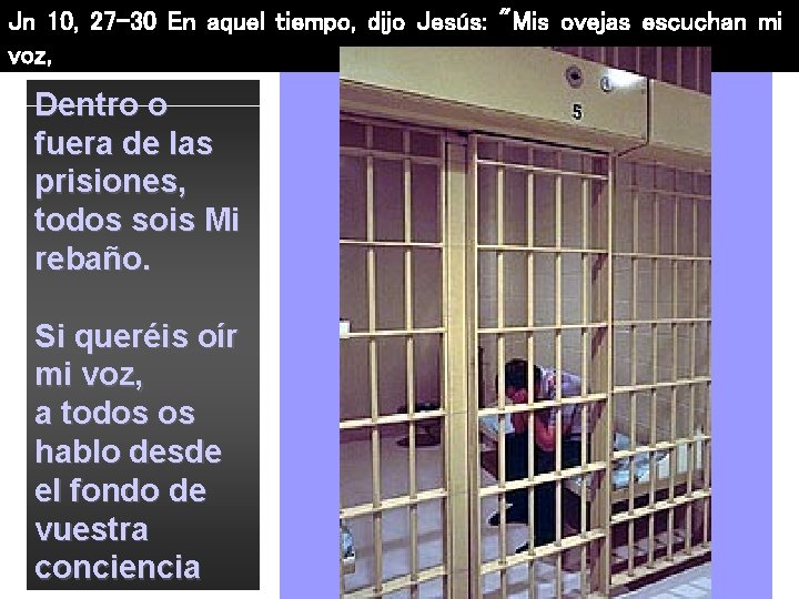 Jn 10, 27 -30 En aquel tiempo, dijo Jesús: "Mis ovejas escuchan mi voz,