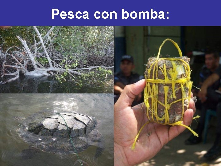 Pesca con bomba: 