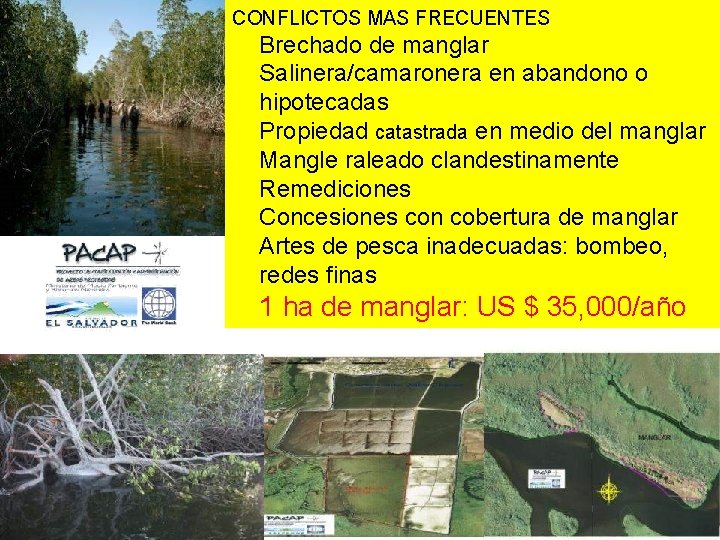 CONFLICTOS MAS FRECUENTES Brechado de manglar Salinera/camaronera en abandono o hipotecadas Propiedad catastrada en