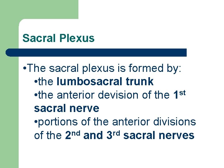 Sacral Plexus • The sacral plexus is formed by: • the lumbosacral trunk •