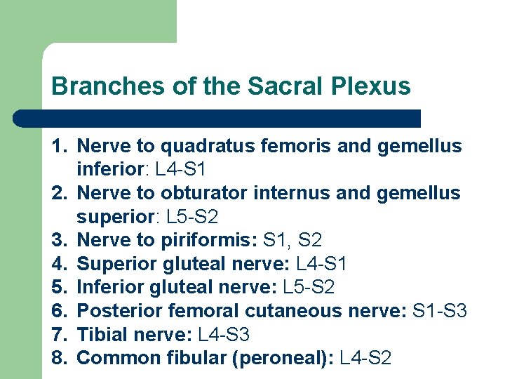 Branches of the Sacral Plexus 1. Nerve to quadratus femoris and gemellus inferior: L