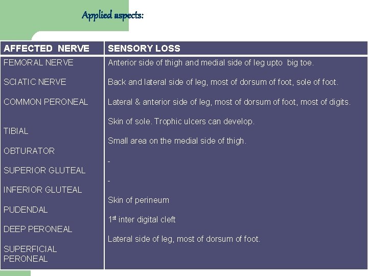 Applied aspects: AFFECTED NERVE SENSORY LOSS FEMORAL NERVE Anterior side of thigh and medial