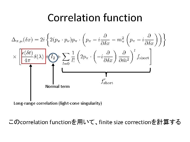 Correlation function Normal term Long-range correlation (light-cone singularity) このcorrelation functionを用いて、finite size correctionを計算する 