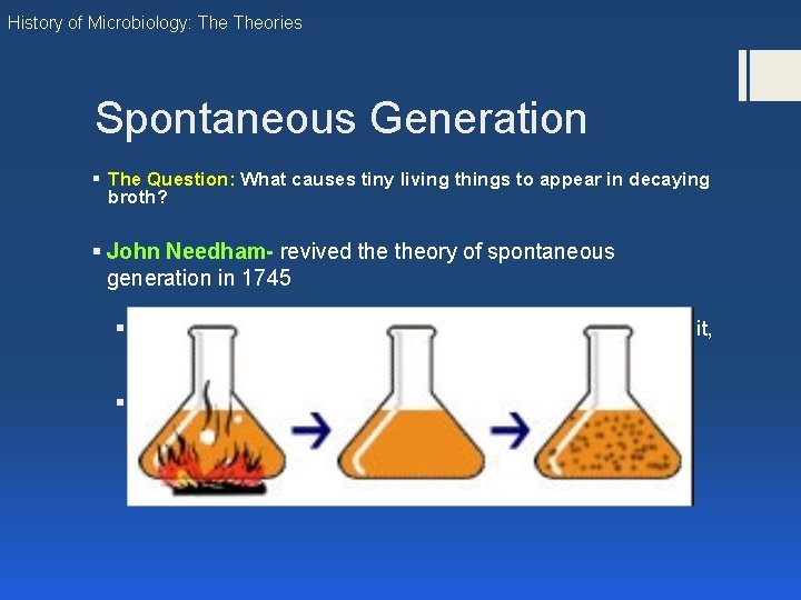 History of Microbiology: Theories Spontaneous Generation § The Question: What causes tiny living things