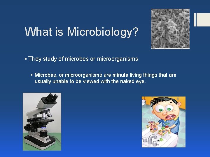 What is Microbiology? § They study of microbes or microorganisms § Microbes, or microorganisms