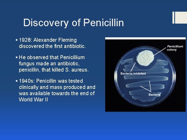 Discovery of Penicillin § 1928: Alexander Fleming discovered the first antibiotic. § He observed