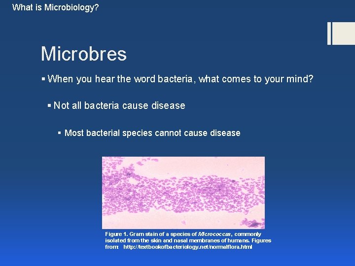 What is Microbiology? Microbres § When you hear the word bacteria, what comes to