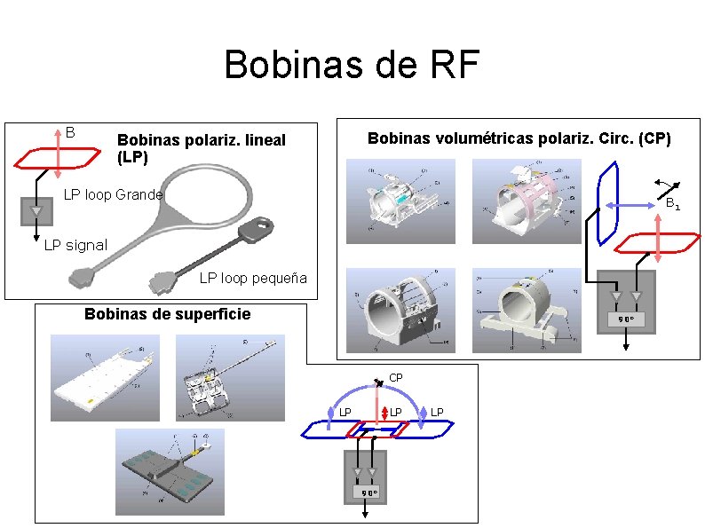 Bobinas de RF B Bobinas volumétricas polariz. Circ. (CP) Bobinas polariz. lineal (LP) LP
