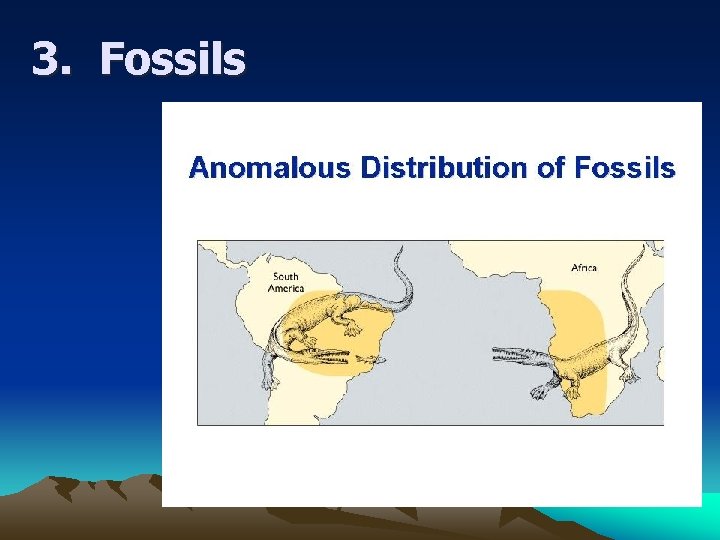 3. Fossils 